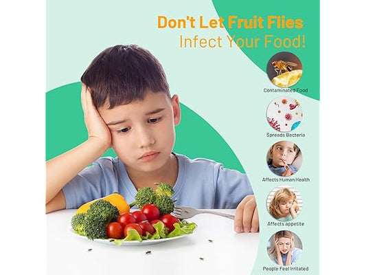 Fruit Fly Traps